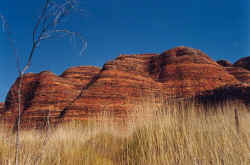 Bungles with Spinifex.jpg (35977 bytes)